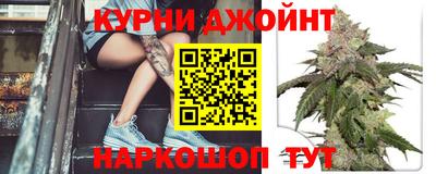 гашик Тула