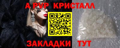 гашик Тула
