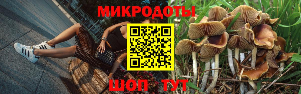 Похвистнево  Галлюциногенные грибы Psilocybine cubensis  Псилоцибиновые грибы Magic Shrooms  Вход с VPN 