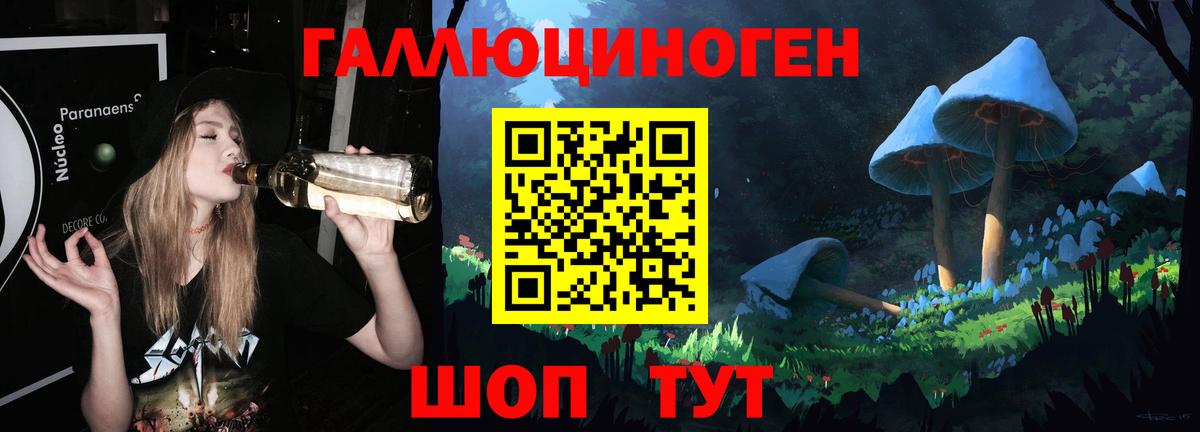 Псилоцибиновые грибы Cubensis Похвистнево